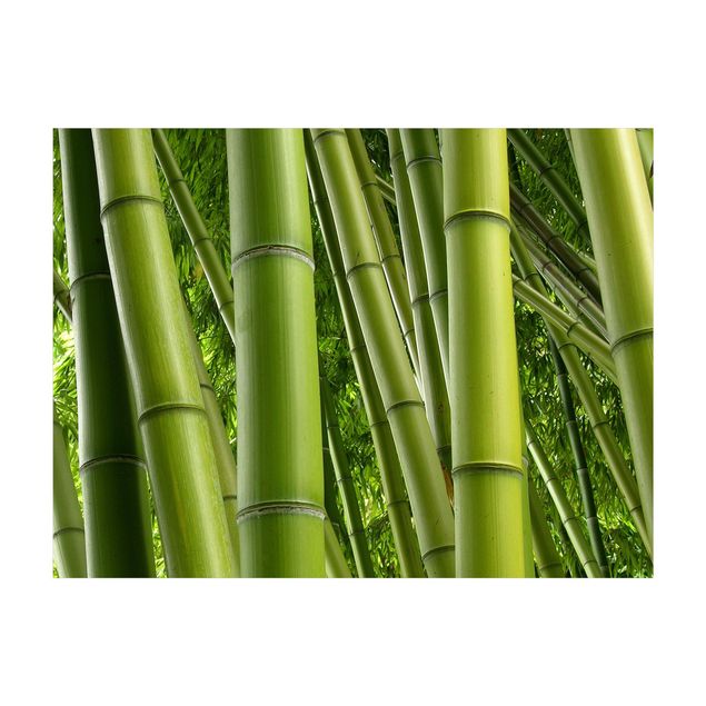 Moderne Teppiche Bamboo Trees No.2