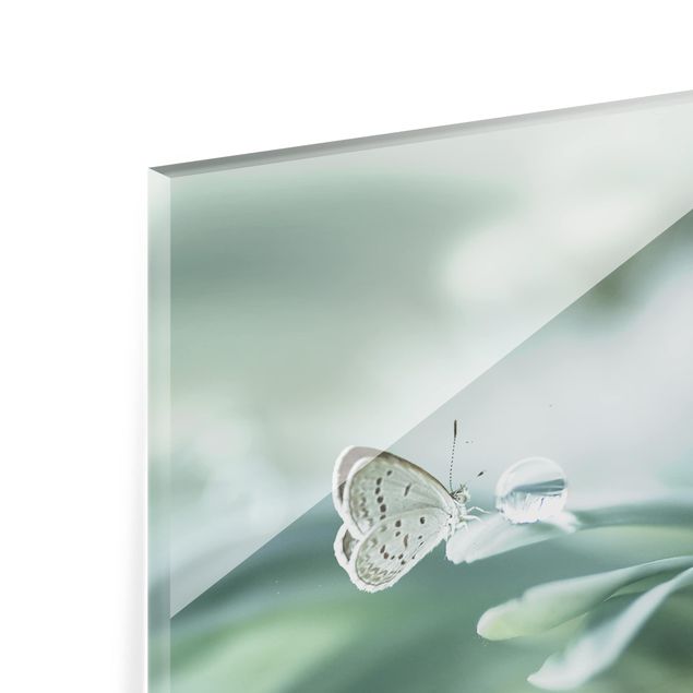 Glas Spritzschutz - Schmetterling und Tautropfen in Pastellgrün - Querformat - 4:3