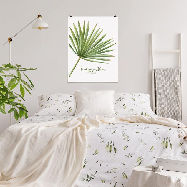 Kunstkopie Poster Aquarell Botanik Trachycarpus fortunei