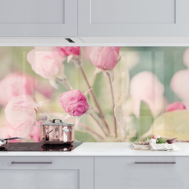 Küchenrückwände Platte Apfelblüte Bokeh rosa