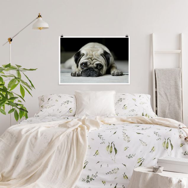 Tiere Poster Pug Loves You