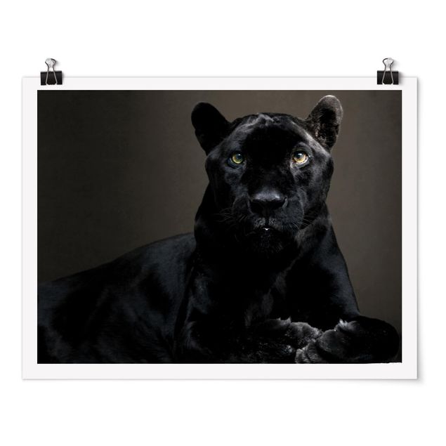 Poster bestellen Black Puma