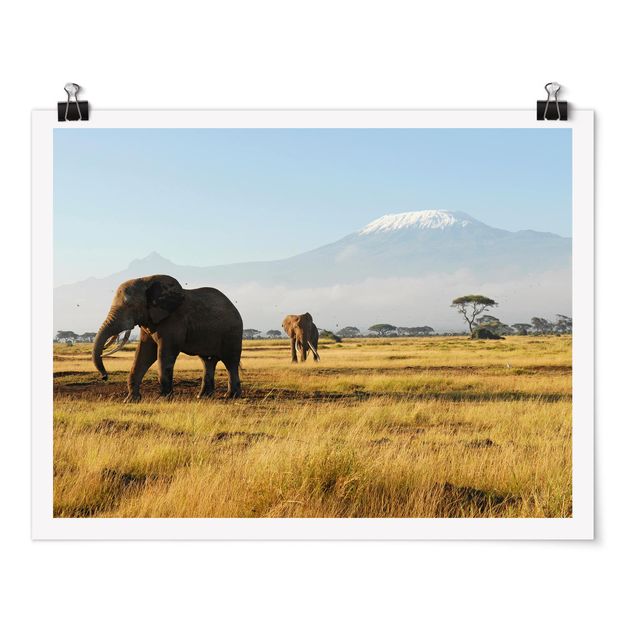 Schöne Wandbilder Elefanten vor dem Kilimanjaro in Kenia
