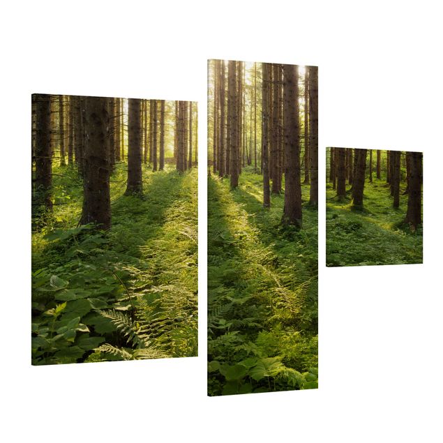Leinwandbilder Wohnzimmer modern Sonnenstrahlen in grünem Wald