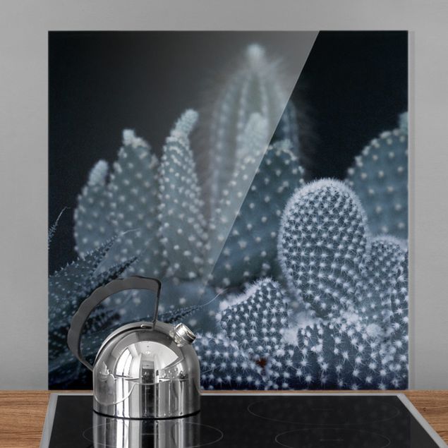 Spritzschutz Glas magnetisch Kakteenfamilie bei Nacht