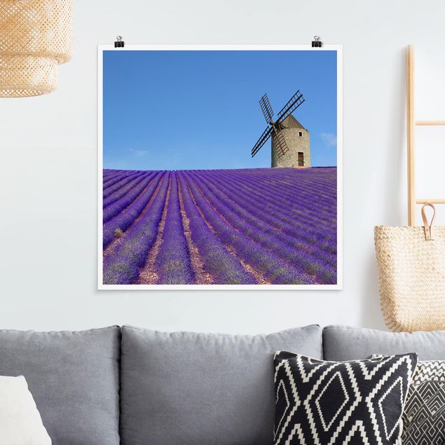 Poster - Lavendelduft in der Provence - Quadrat 1:1