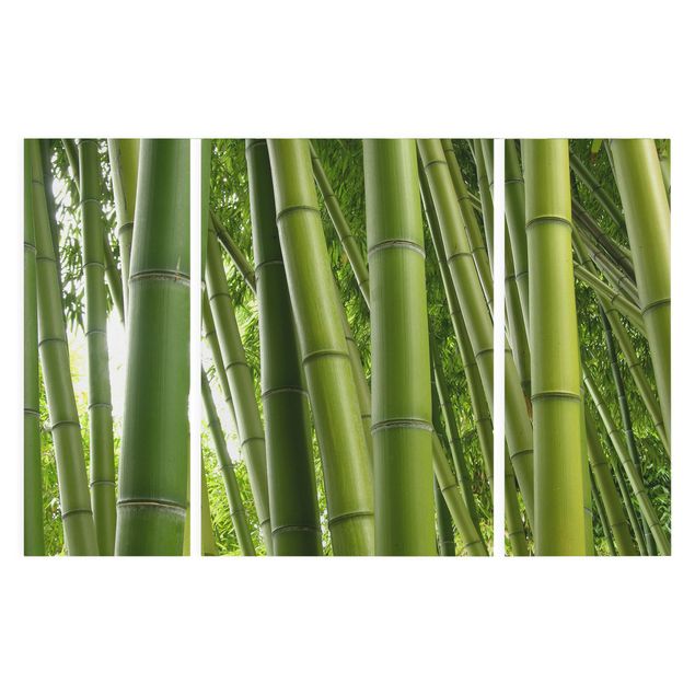 Moderne Leinwandbilder Wohnzimmer Bamboo Trees