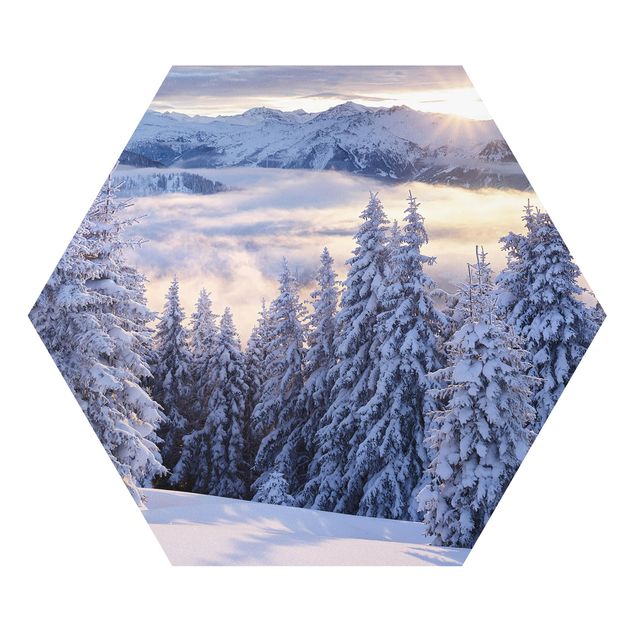 Hexagon Bild Forex - Blick in die Hohen Tauern vom Kreuzkogel Österreich