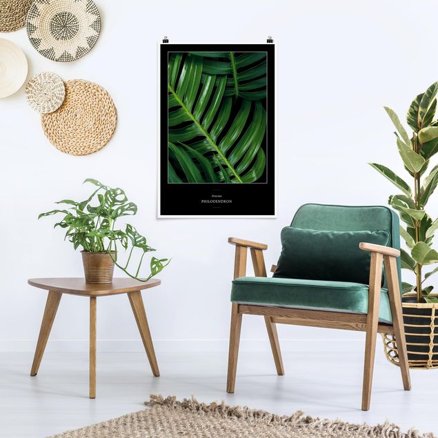 Bilder für die Wand Tropische Blätter Philodendron