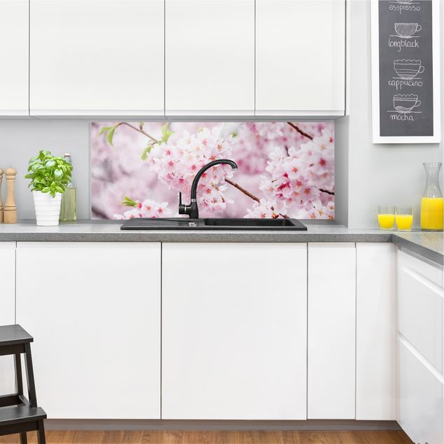 Glasrückwand Küche Blumen Japanische Kirschblüten