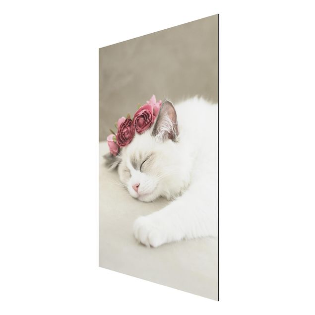 Alu-Dibond - Schlafende Katze mit Rosen - Querformat