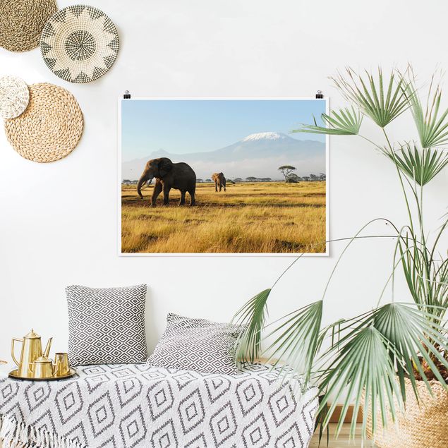 Poster Landschaft Elefanten vor dem Kilimanjaro in Kenia