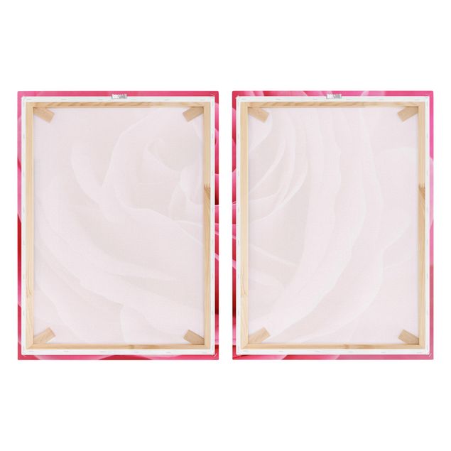 Bilder auf Leinwand Lustful Pink Rose