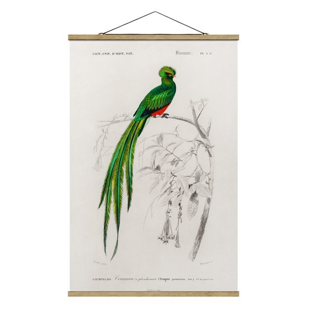 Stoffbild mit Posterleisten - Vintage Lehrtafel Tropischer Vogel I - Hochformat 2:3