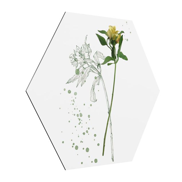 Hexagon Bild Alu-Dibond - Botanisches Aquarell - Lilie
