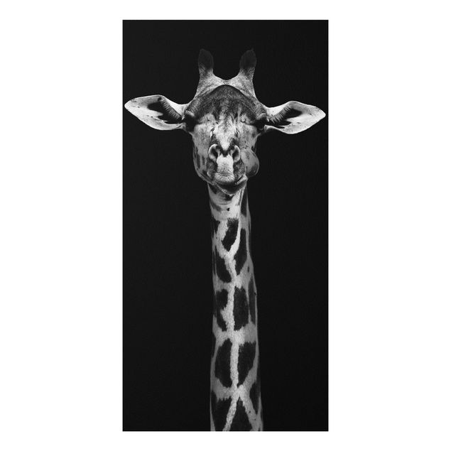 Forex Bilder Dunkles Giraffen Portrait