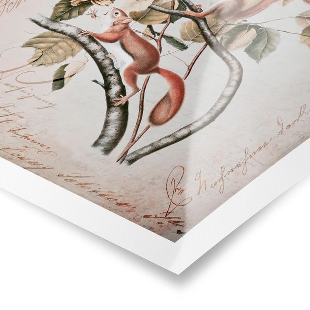 Poster kaufen Shabby Chic Collage - Eichhörnchen