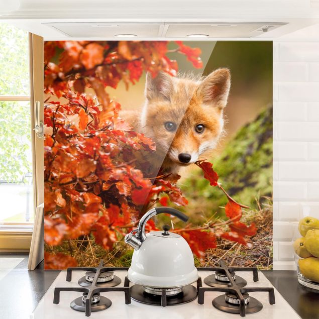 Spritzschutz Glas magnetisch Fuchs im Herbst