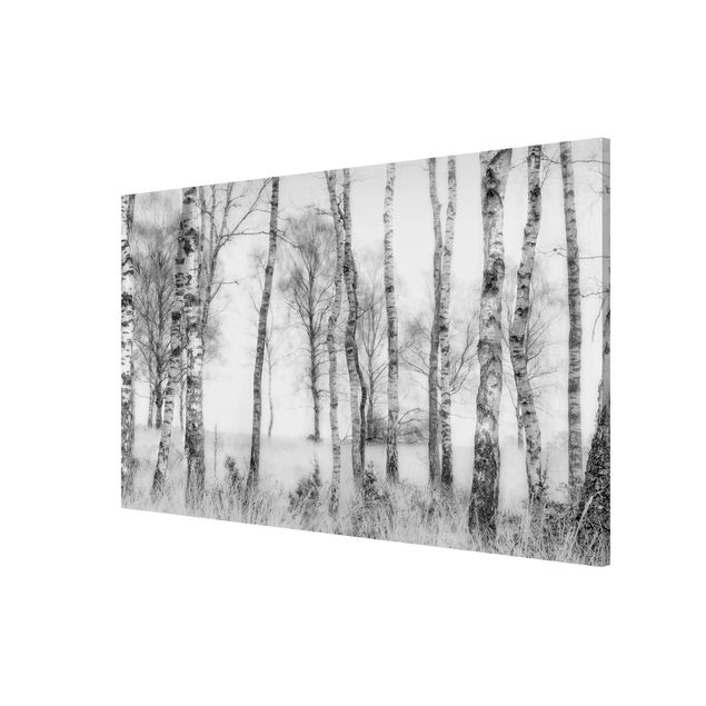 Schöne Wandbilder Mystischer Birkenwald Schwarz-Weiß