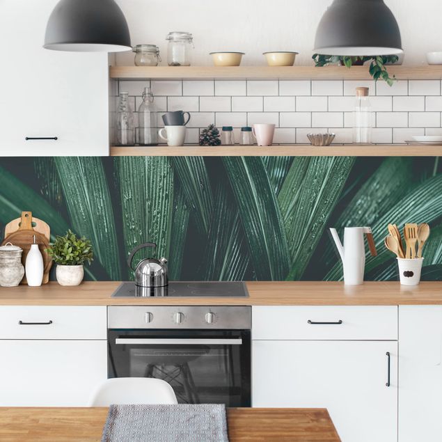 Küchenrückwand Gräser Grüne Palmenblätter