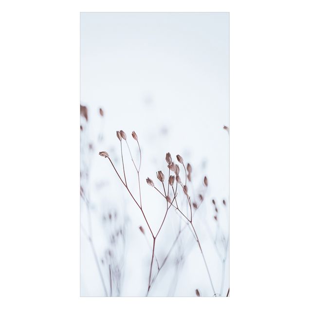 Duschrückwand - Zartblaue Wildblumen