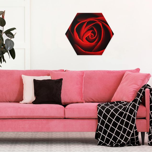 Hexagon Bilder Liebliche Rose