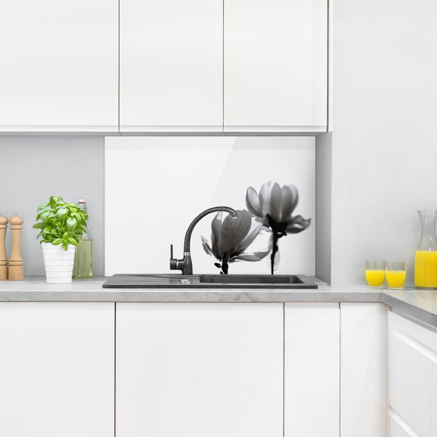 Küchenrückwand Glas Blumen Frühlingsbote Magnolie Schwarz Weiß