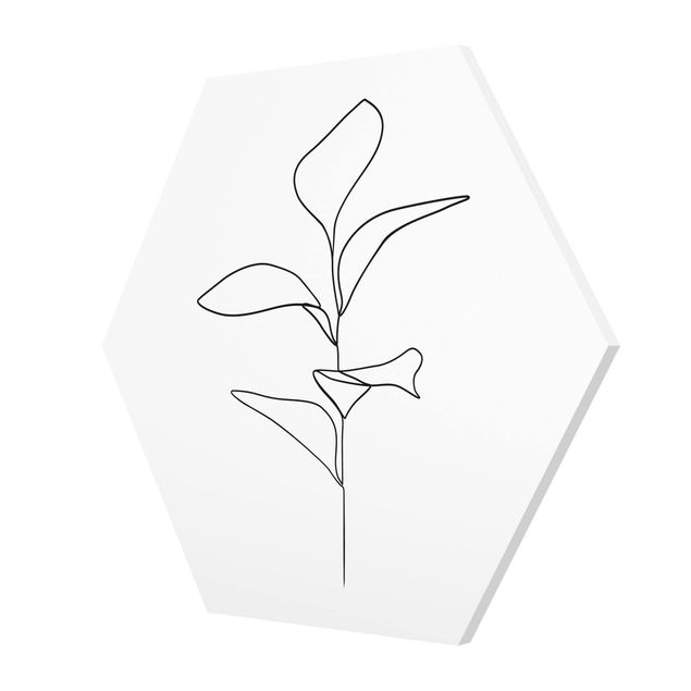Hexagon Bild Forex - Line Art Pflanze Blätter Schwarz Weiß