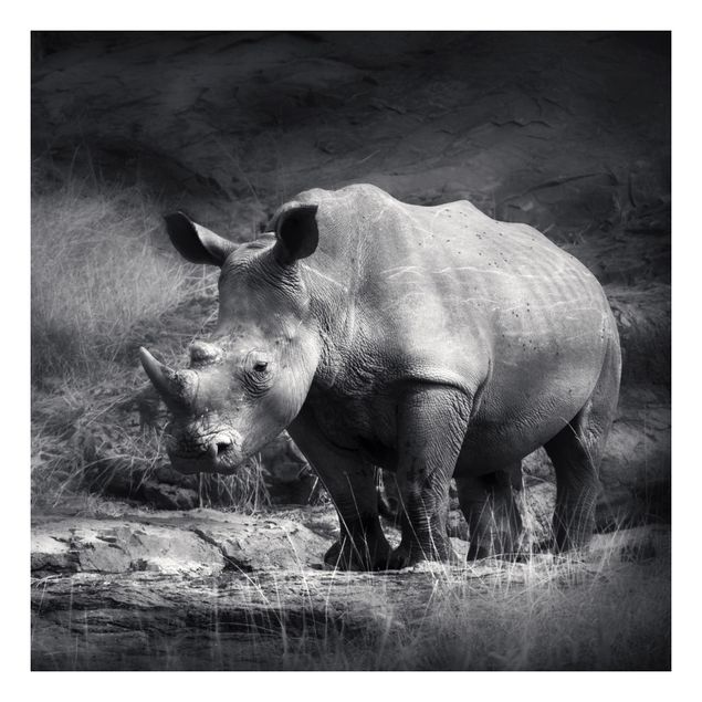 Selbstklebende Folie Schwarz-Weiß Lonesome Rhinoceros
