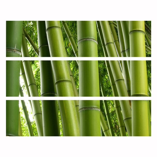 Malm Kommode Klebefolie Bamboo Trees No.1