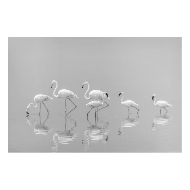Magnettafel Büro Elegante Flamingos
