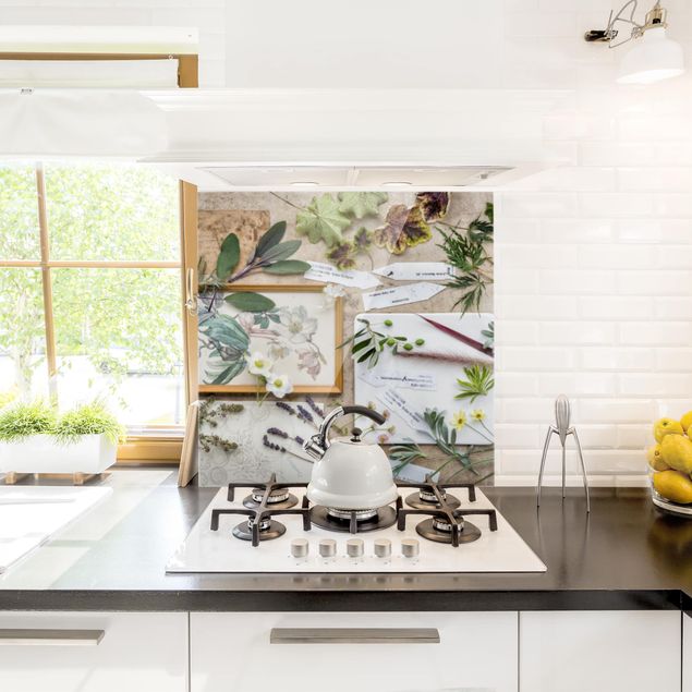 Küchenrückwand Glas Motiv Kräuter Blumen und Gartenkräuter Vintage