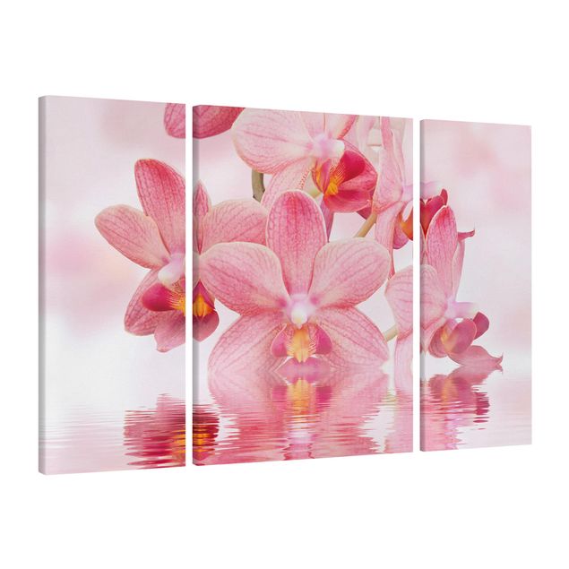 Wandbilder Wohnzimmer modern Rosa Orchideen auf Wasser
