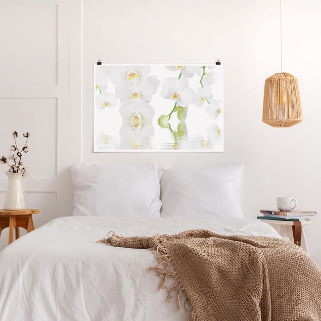 Poster Wellness Orchidee - Weiße Orchidee
