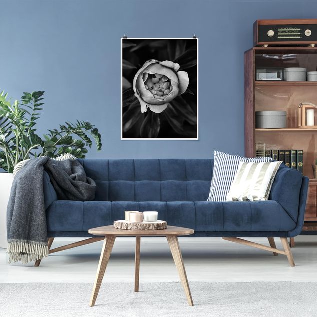 Bilder für die Wand Pfingstrosenblüte vor Blättern Schwarz Weiß