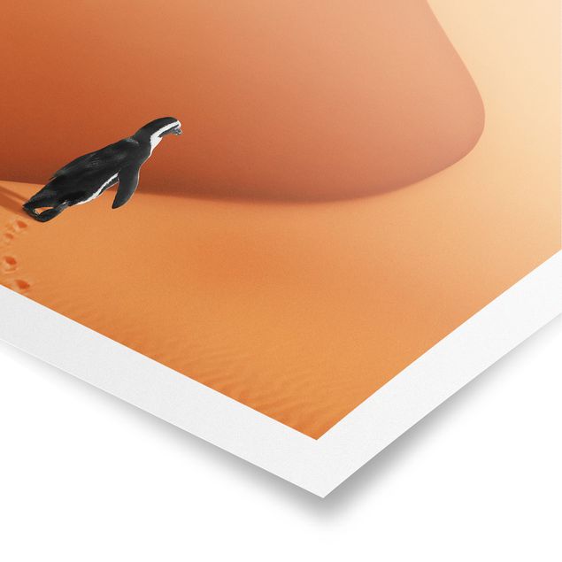 Tierposter Wüste mit Pinguin