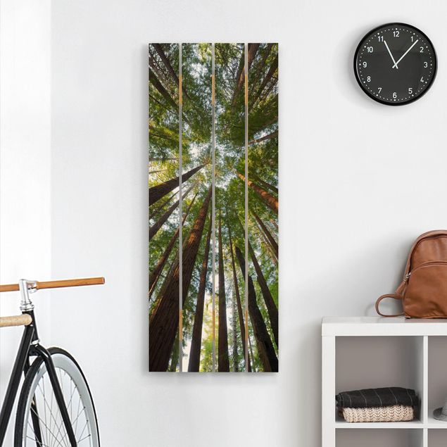 Holzbilder modern Mammutbaum Baumkronen