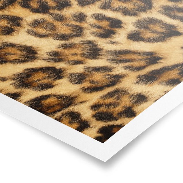 Poster - Jaguar Skin - Panorama Querformat