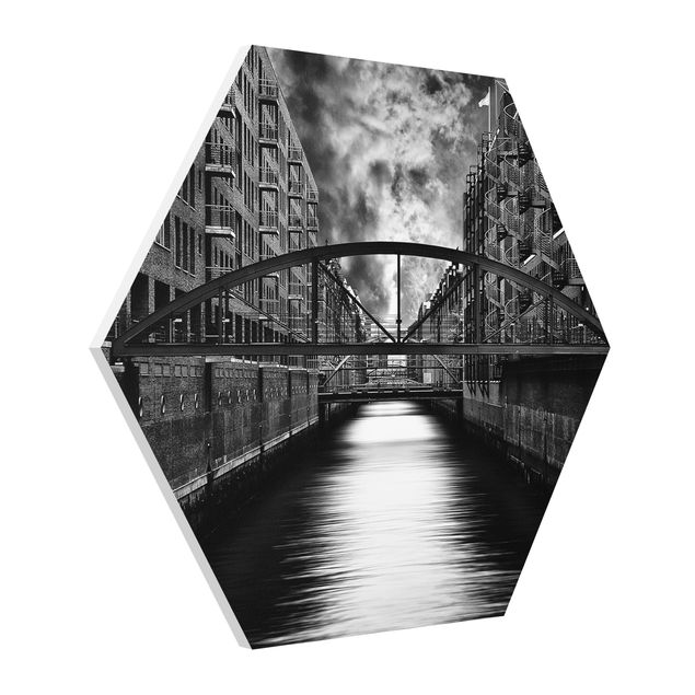 Hexagon Bild Forex - Hamburgs andere Seite