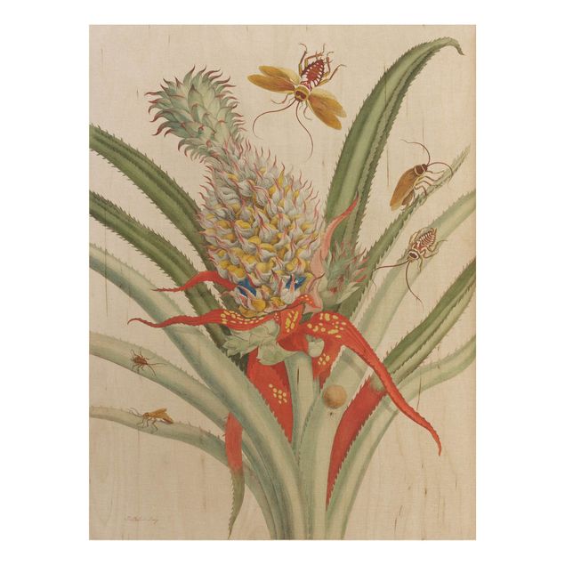 Vintage Bilder Holz Anna Maria Sibylla Merian - Ananas mit Insekten