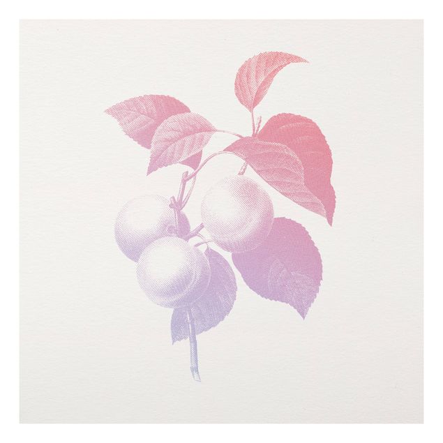 Bilder für die Wand Modern Vintage Botanik Pfirsich Rosa Violett
