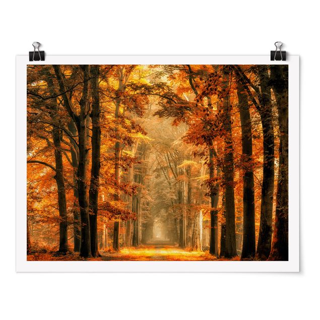 Poster - Märchenwald im Herbst - Querformat 3:4