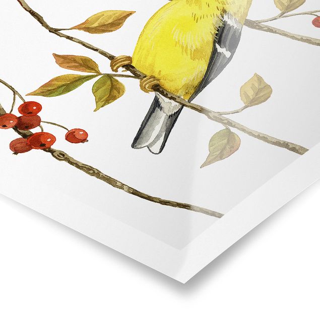Bilder für die Wand Vögel und Beeren - Goldzeisig