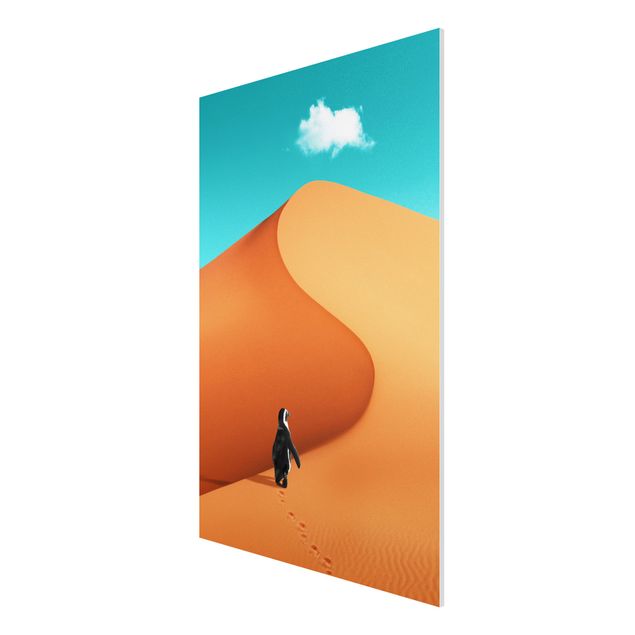 Schöne Wandbilder Wüste mit Pinguin