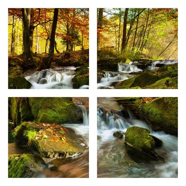 Leinwandbild 4-teilig - Wasserfall herbstlicher Wald