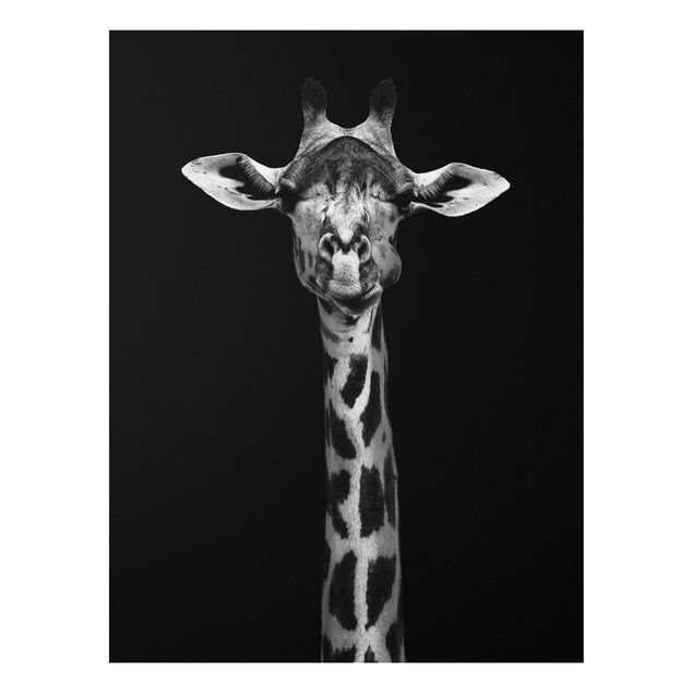 Forex Bilder Dunkles Giraffen Portrait