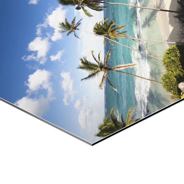 Hexagon Bild Alu-Dibond - Beach of Barbados
