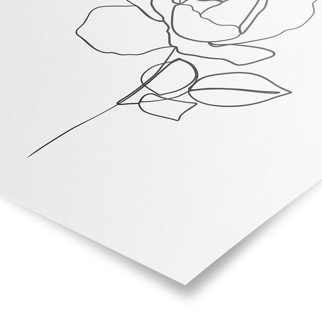 Poster - Line Art Rose Schwarz Weiß - Quadrat 1:1