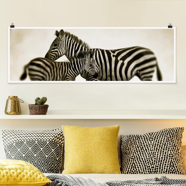 Wandbilder Tiere Zebrapaar