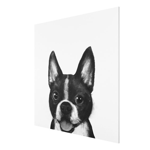 Wandbilder Illustration Hund Boston Schwarz Weiß Malerei